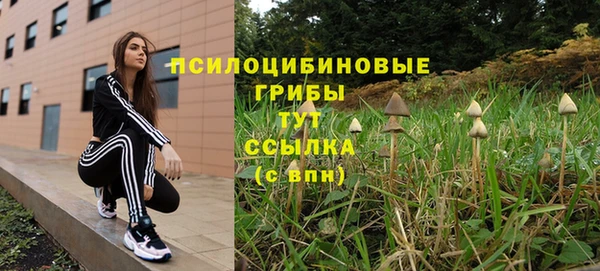 молекула духа Новодвинск