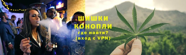 гашик Новозыбков