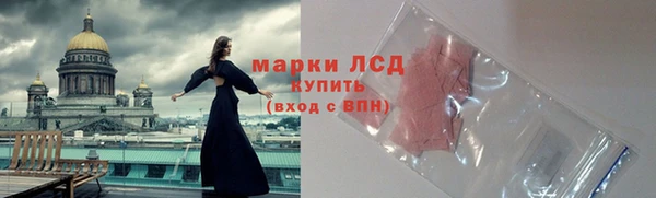 молекула духа Новодвинск