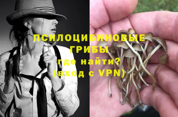 молекула духа Новодвинск