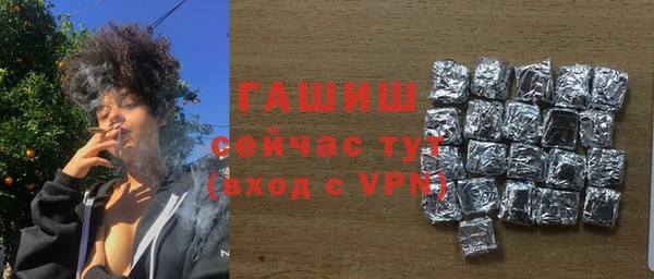 гашик Новозыбков