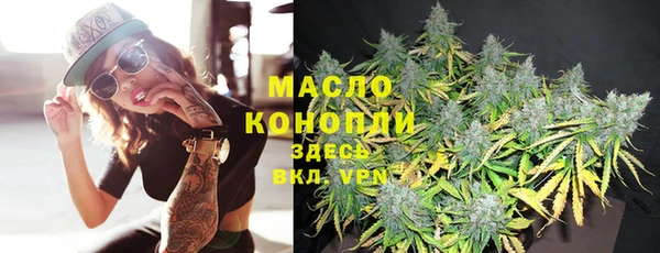гашик Новозыбков
