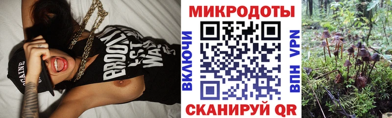 Псилоцибиновые грибы мицелий  Купить закладки  Дагестанские Огни 