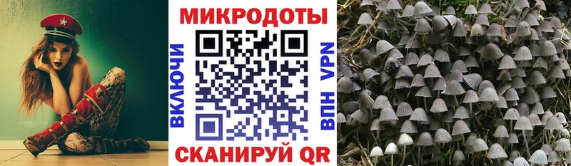 Псилоцибиновые грибы Cubensis Дагестанские Огни